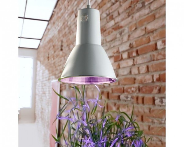 Pflanzen Energiesparlampe L15 15 Watt E27