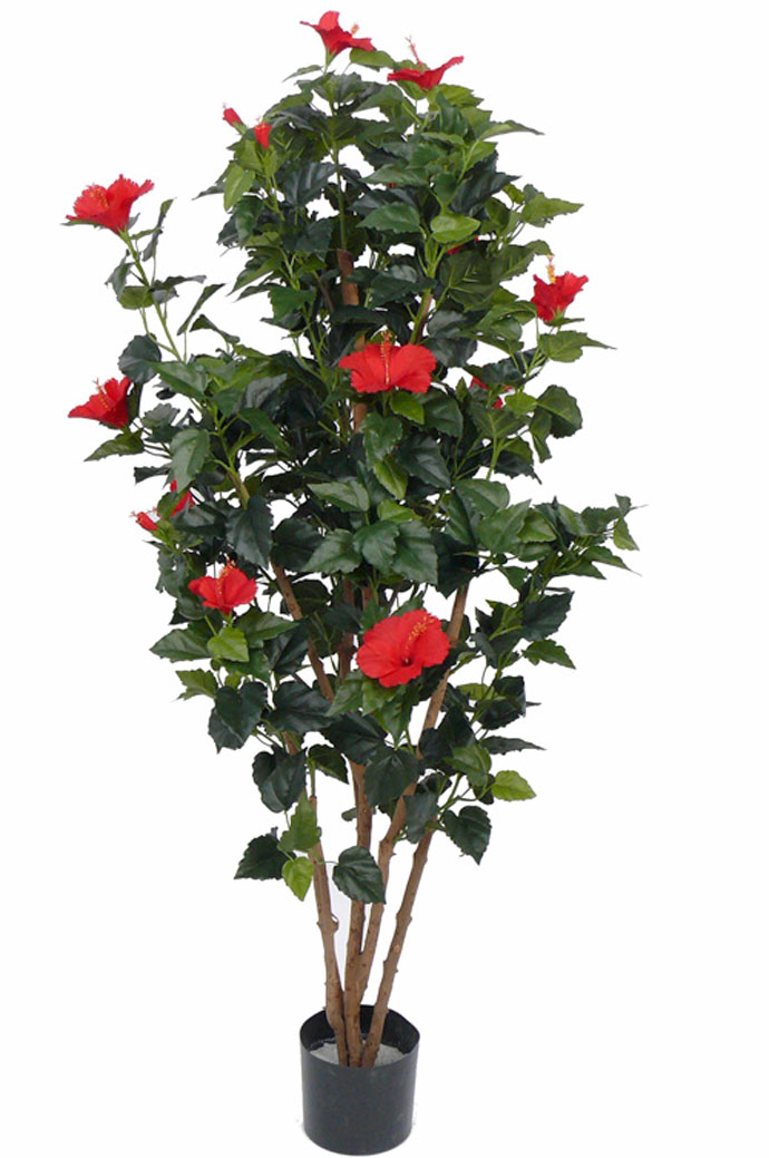 Hibiskus Kunstbaum 180 cm Terrapalme Heim und