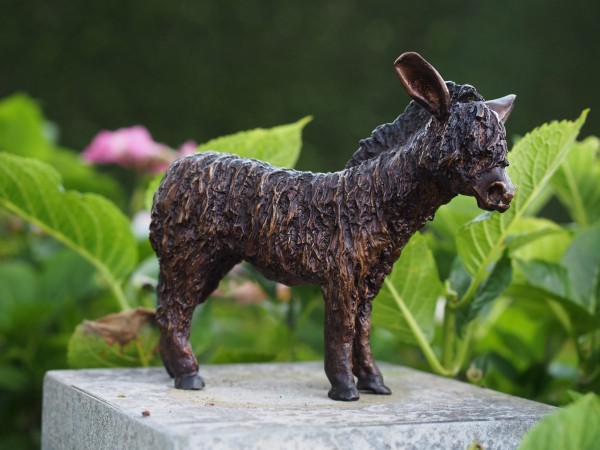 Esel Pako als Bronzefigur 23 cm