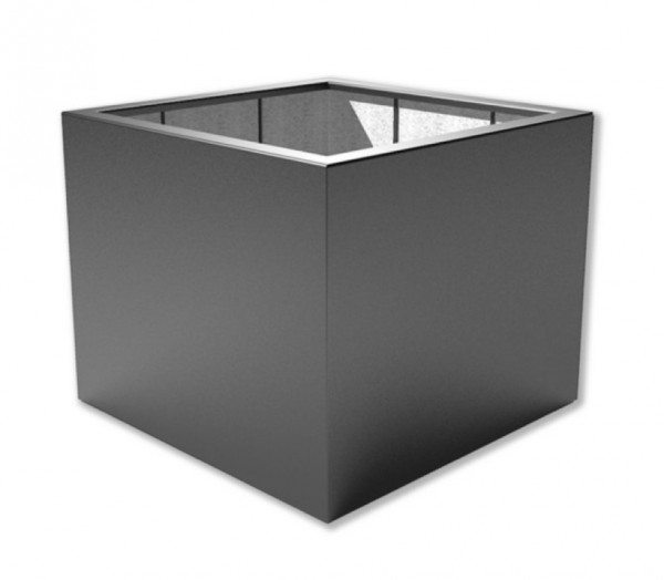 Buxus Fiberglas Pflanzcube