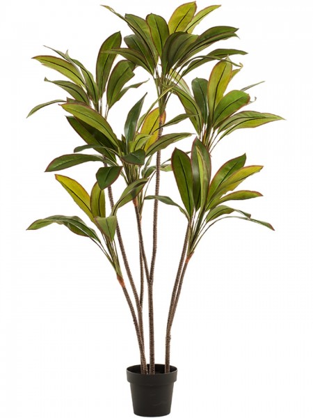 Cordyline Kunstbaum verzweig 160cm