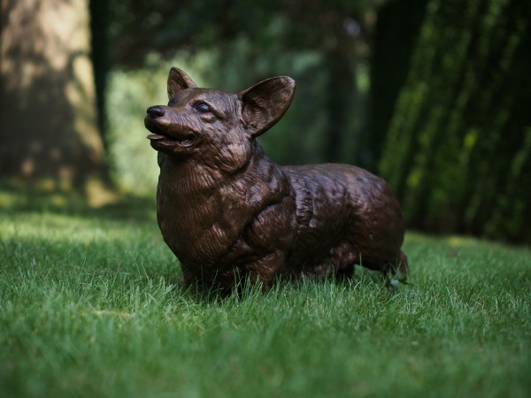 Corgi Hund als Bronzeskulptur 62 cm