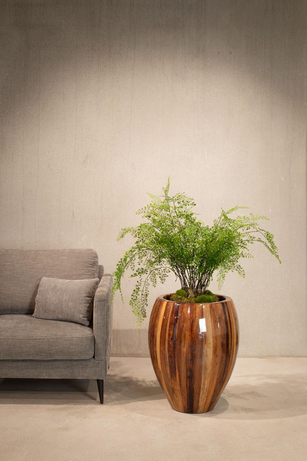 https://www.terrapalme.de/media/image/fleurami/Banana-Bark-Fiberglas-Pflanzvase-Stimmungsbild.jpg
