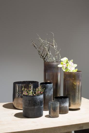 Stardust-Vase-shiny-brown-Blossom-Stimmungsbild.jpg