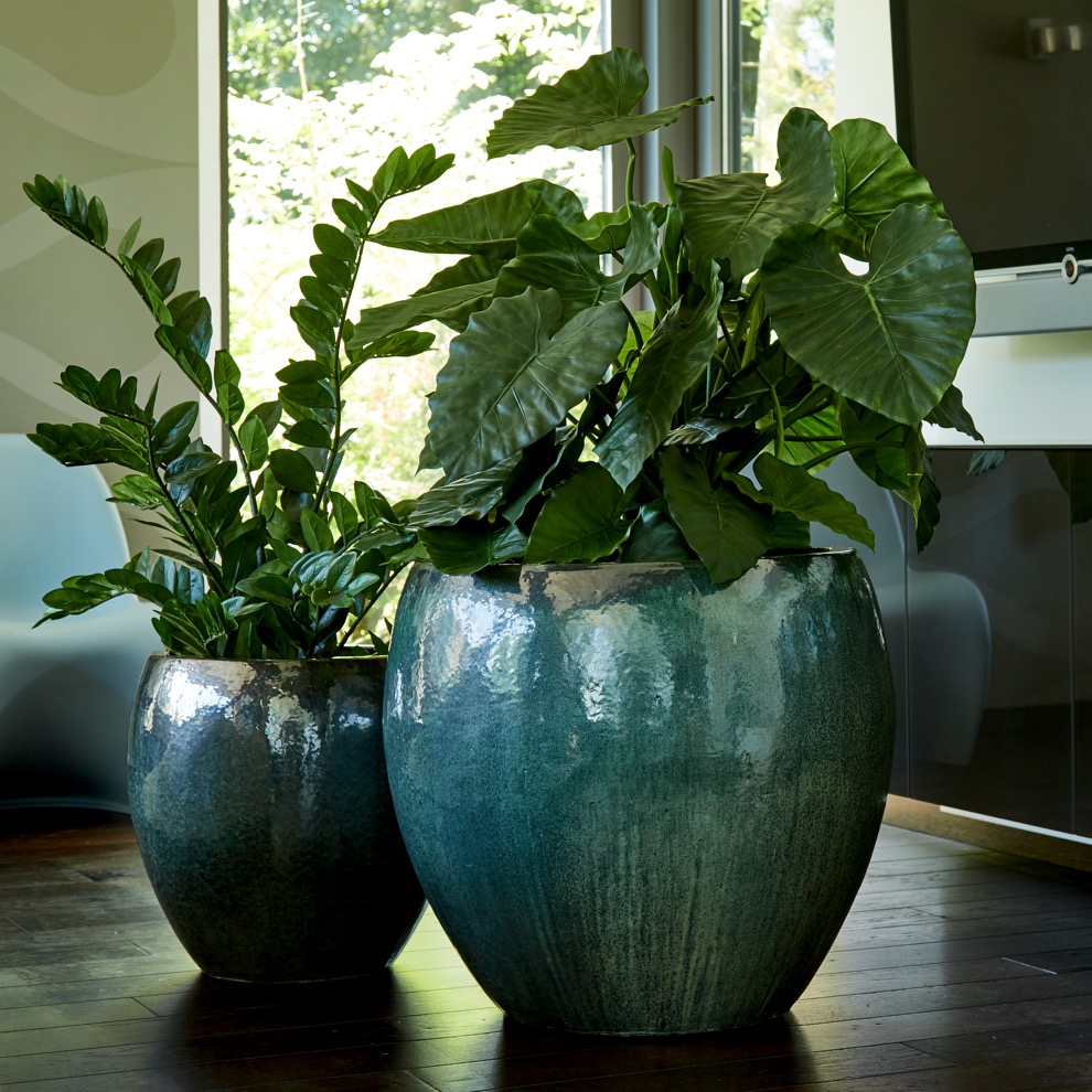 https://www.terrapalme.de/media/image/kl/Jardis Jumbo Keramik-Kuebel-Jade-Stimmungsbild.jpeg