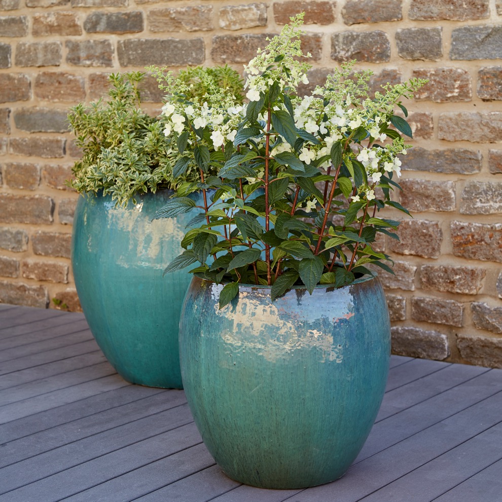 https://www.terrapalme.de/media/image/kl/Jardis Jumbo Keramik-Kuebel-tuerkis-Stimmungsbild.jpeg
