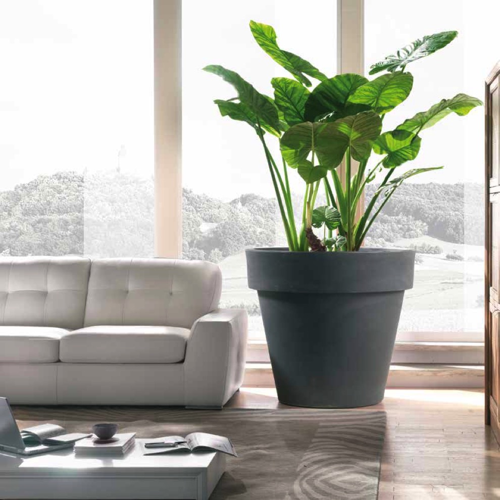 https://www.terrapalme.de/media/image/kl/Tera-Standard-One-Pflanztopf-Stimmungsbild.jpeg