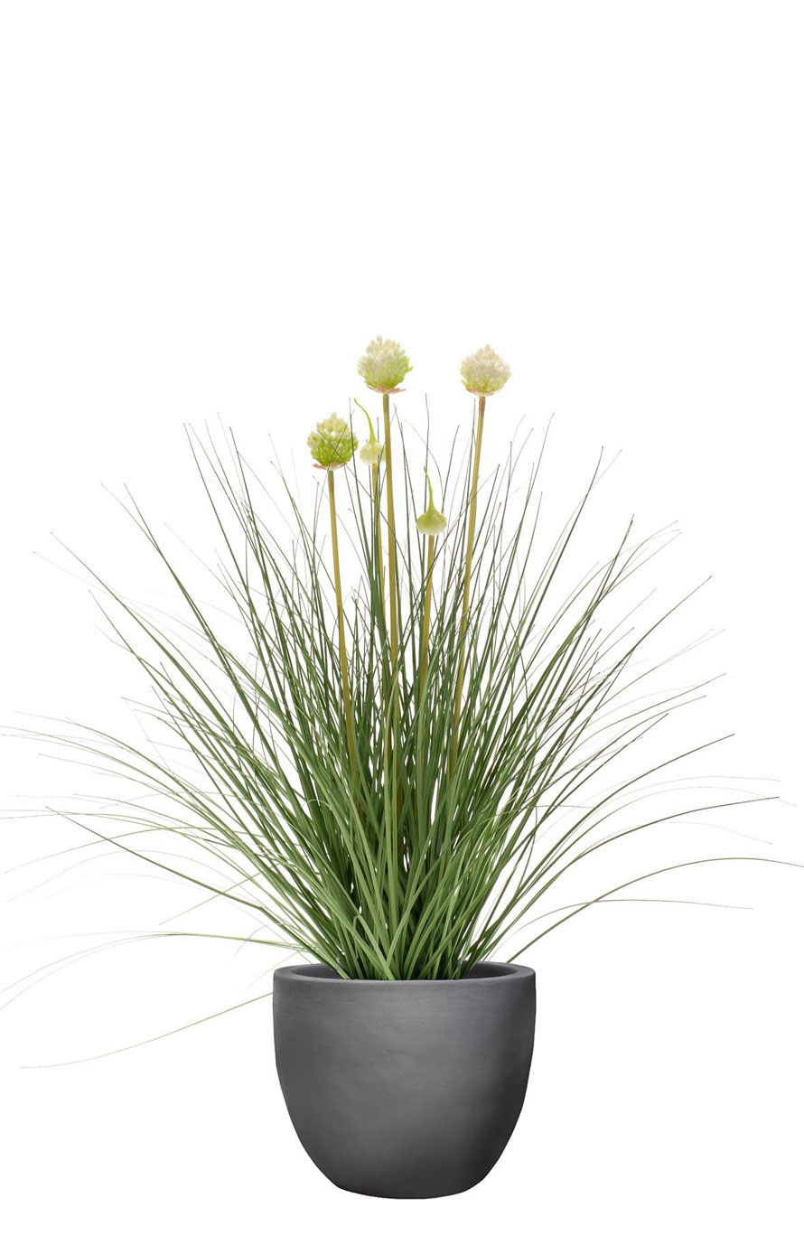 Allium-Kunstgras-mit-Blumen-Stimmungsbild.jpg