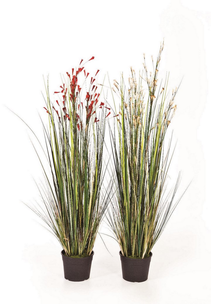 coral-grass-kunstpflanze-stimmungsbild-720.jpg