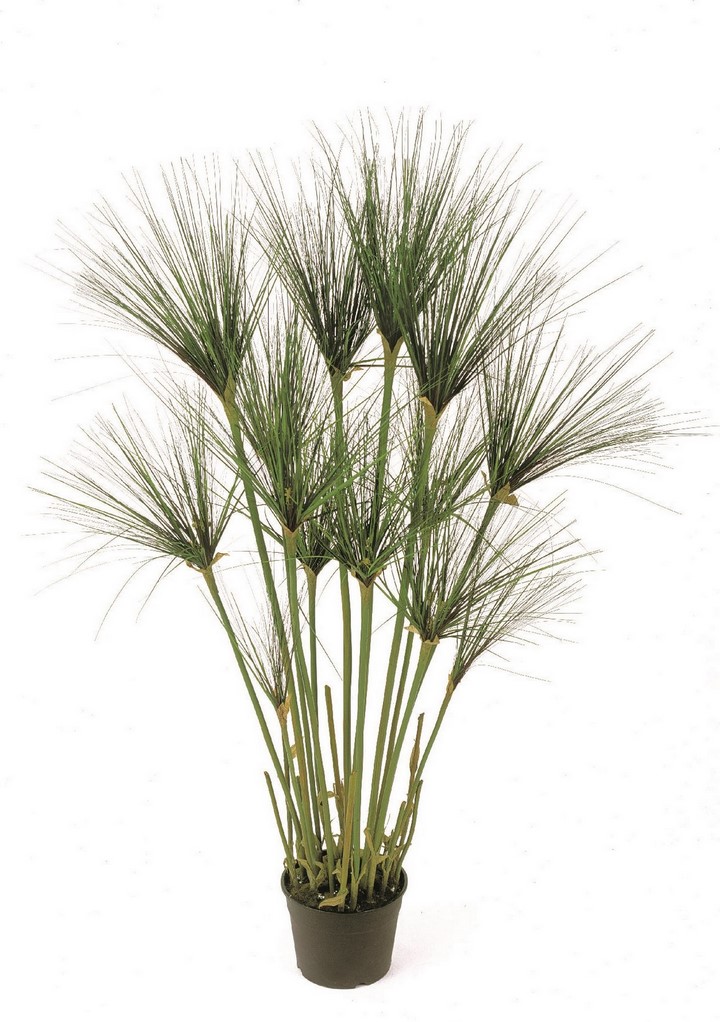 paypyrus-cyperus-kunstpflanze-stimmungsbild