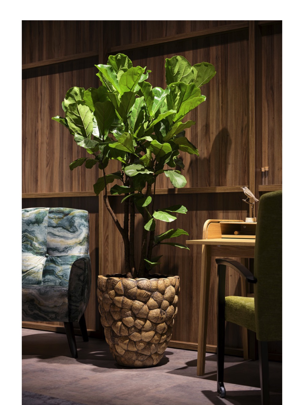https://www.terrapalme.de/media/image/nk/Bosco-Pot-Coconut-Shell-Pflanzkuebel-Stimmungsbild.jpeg