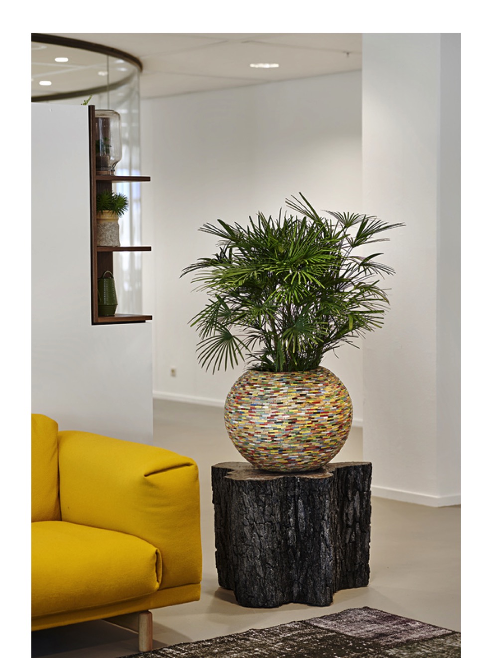 https://www.terrapalme.de/media/image/nk/Caribbea-Bowl-Pflanzvase-Stimmungsbild.jpeg