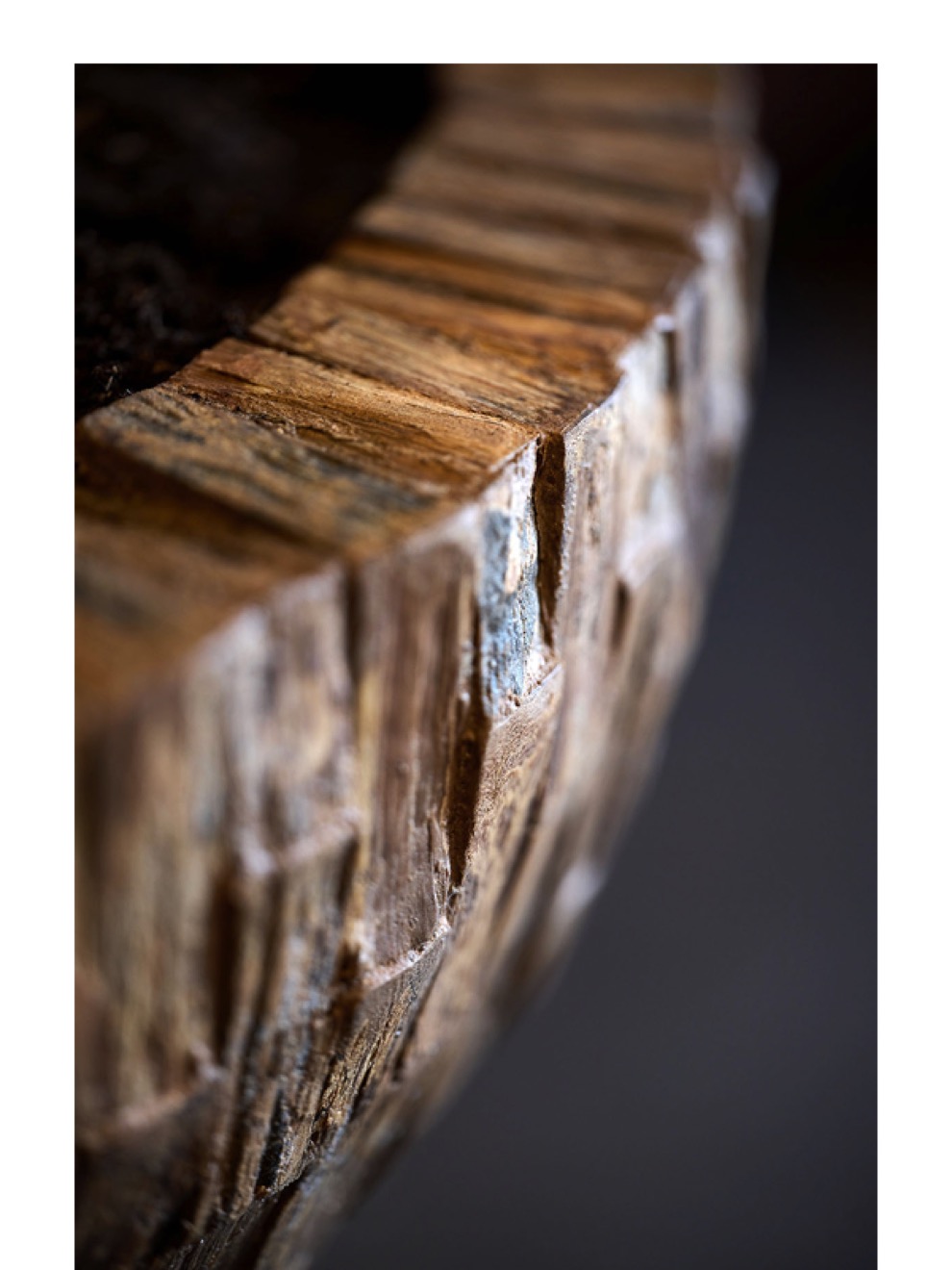 https://www.terrapalme.de/media/image/nk/Cemani-Bosco-Bowl-Bark-Pflanzschale-Stimmungsbild-2.jpeg