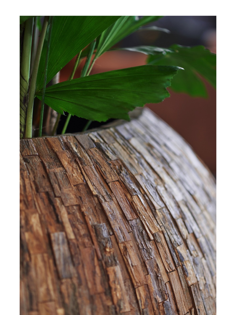 https://www.terrapalme.de/media/image/nk/Cemani-Bosco-Bowl-Bark-Pflanzvase-Stimmungsbild-2.jpeg