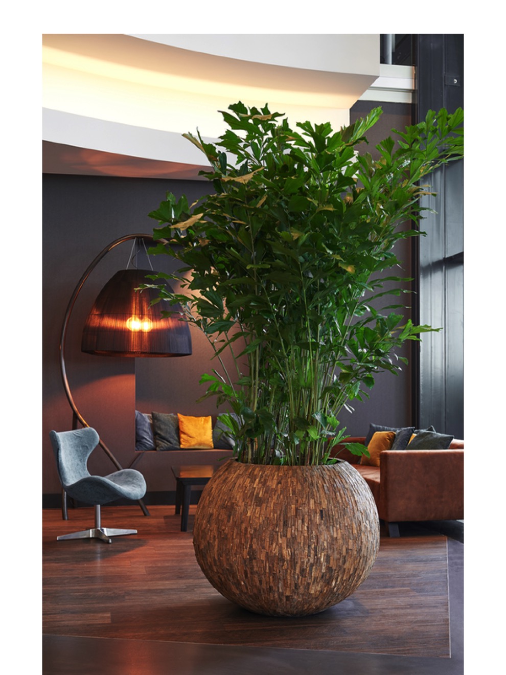 https://www.terrapalme.de/media/image/nk/Cemani-Bosco-Bowl-Bark-Pflanzvase-Stimmungsbild.jpeg