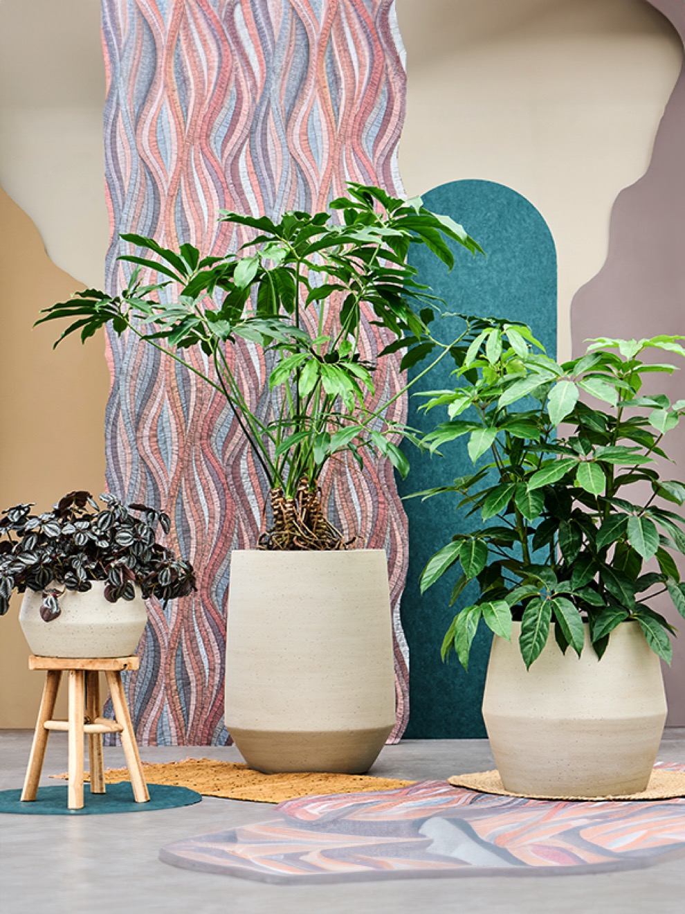 https://www.terrapalme.de/media/image/nk/Cement-Stone-Harith-Ficonstone-Beige-Pflanzvasen-Stimmungsbild.jpeg