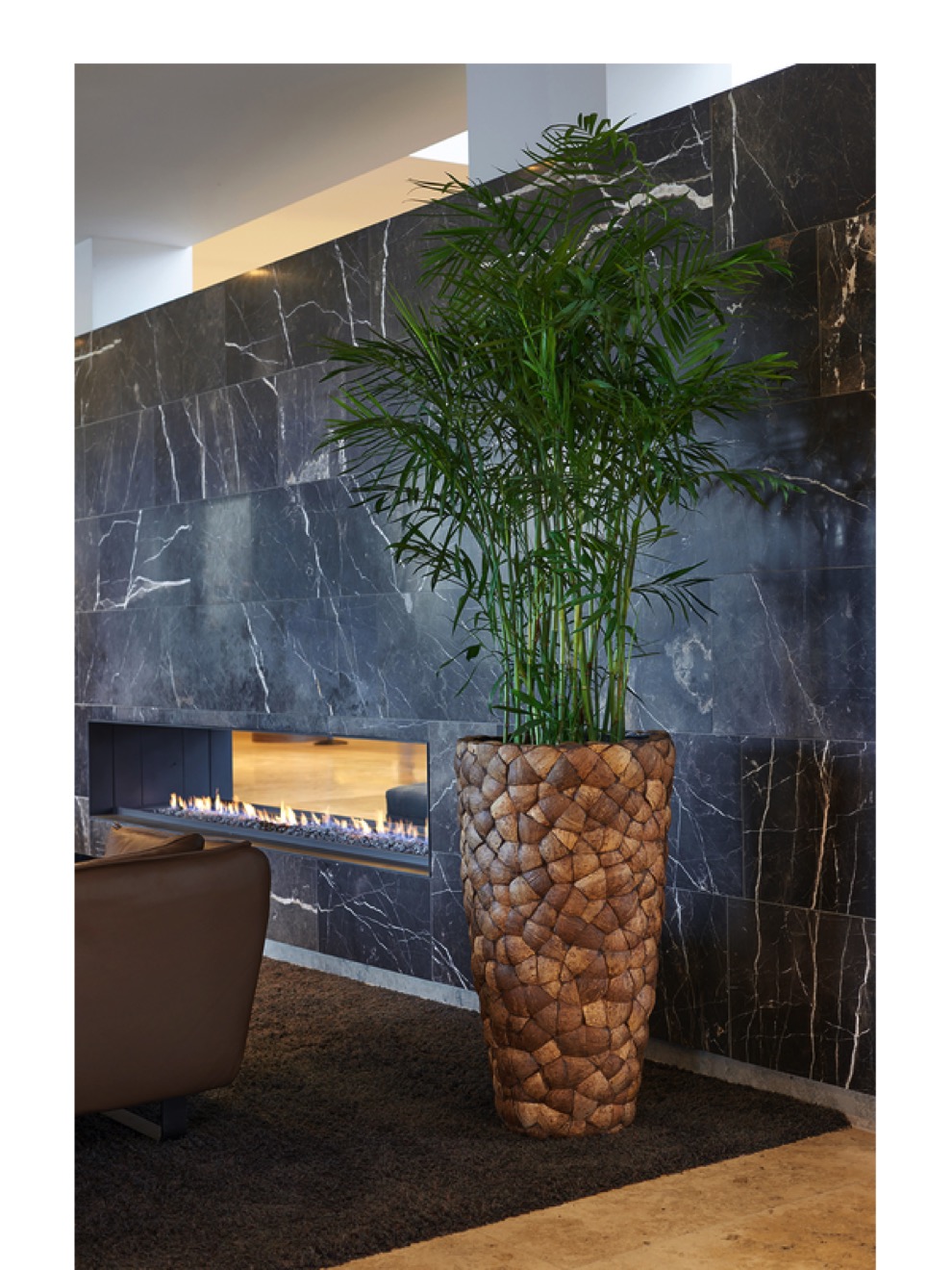 https://www.terrapalme.de/media/image/nk/Coconut-Bosco-Bark-Pflanzvase-Stimmungsbild.jpeg