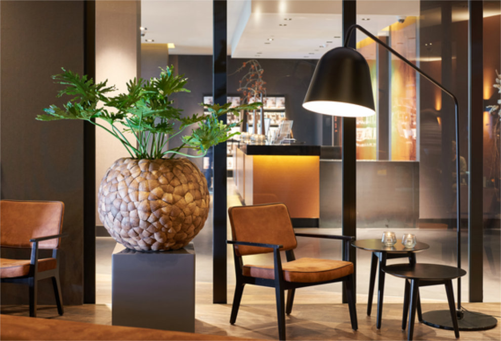 https://www.terrapalme.de/media/image/nk/Coconut-Bosco-Bowl-Bark-Pflanzvase-Stimmungsbild.jpg