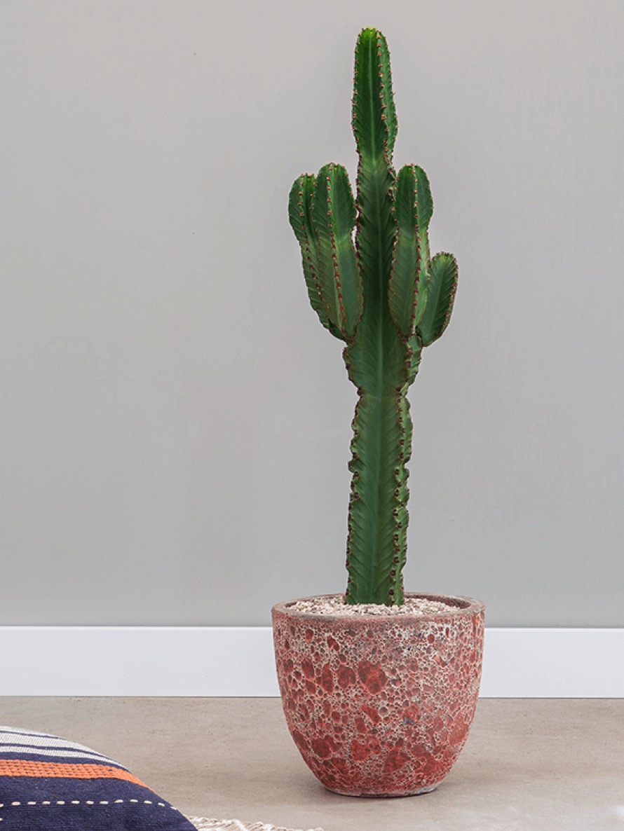 https://www.terrapalme.de/media/image/nk/Couple-Relic-Lava-Keramik-Pflanzkuebel-pink-Stimmungsbild.jpeg
