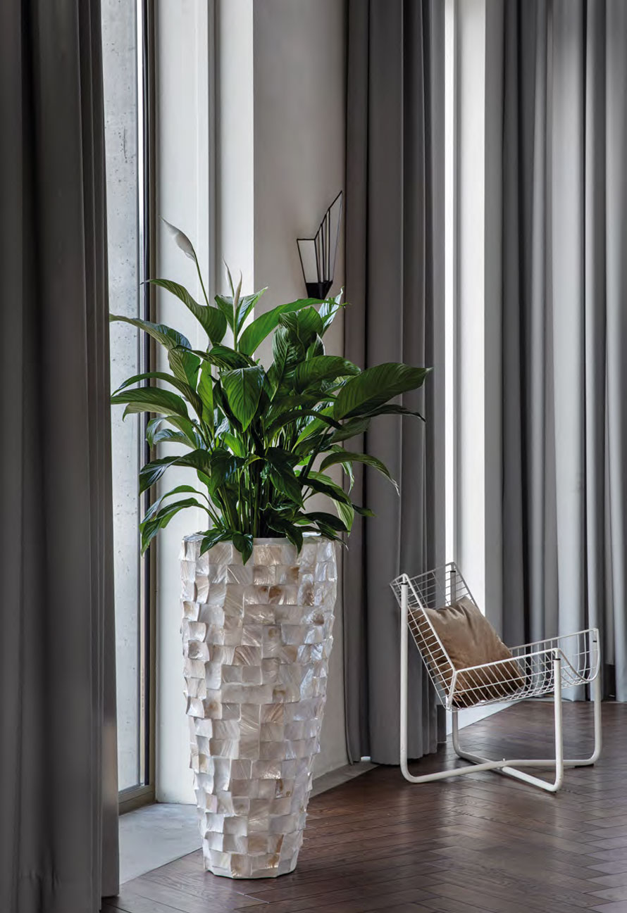 https://www.terrapalme.de/media/image/nk/Oceana-Partner-white-Pflanzvase-Stimmungsbild.jpg