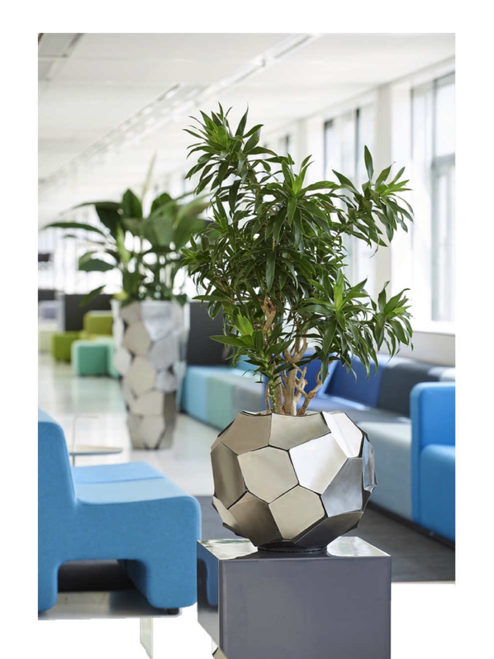 https://www.terrapalme.de/media/image/nk/Palawan-Bowl-Pflanzvase-Stimmungsbild.jpeg