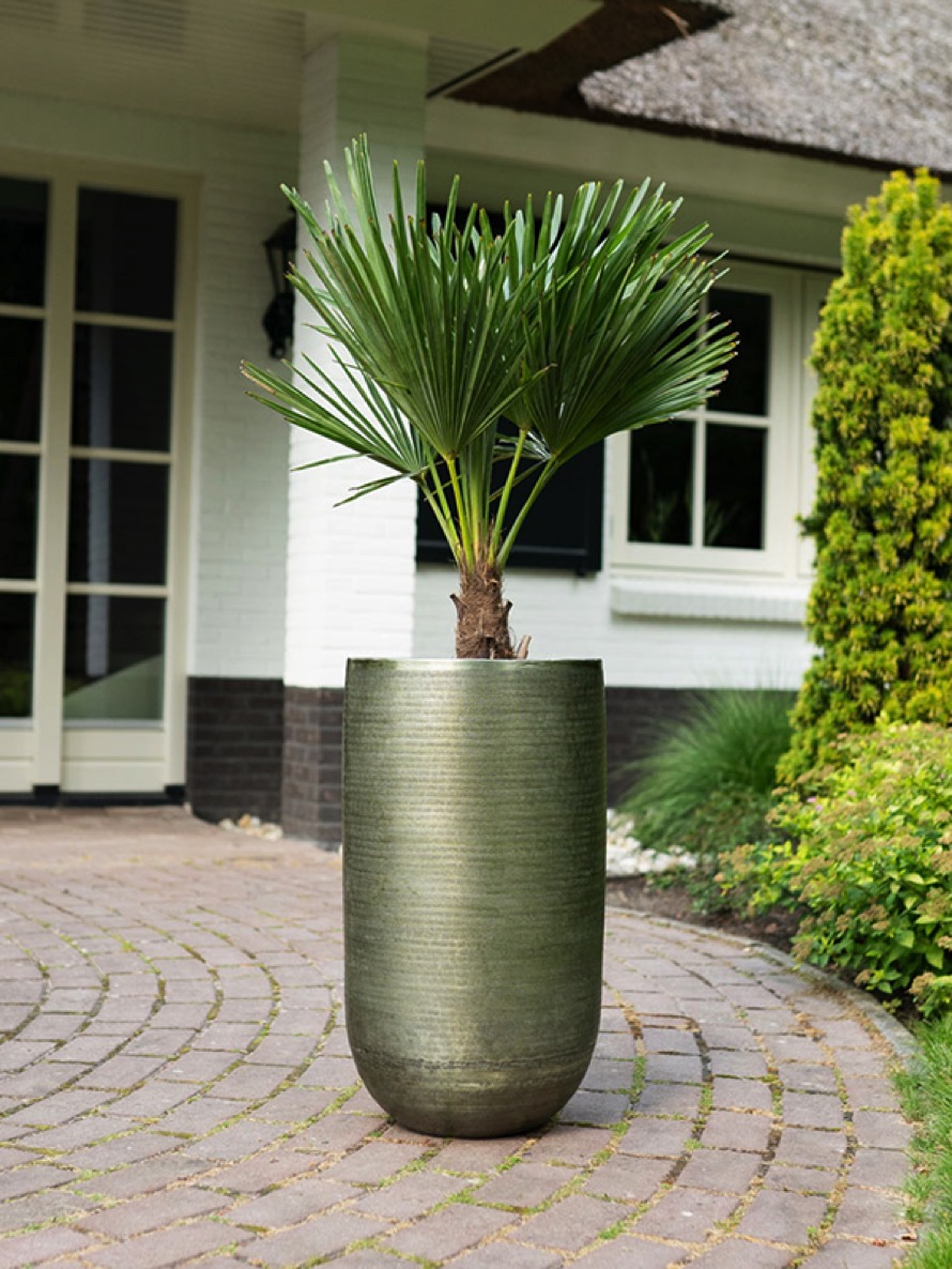 https://www.terrapalme.de/media/image/nk/Rowen-Pot-Tall-Green-Aluminium-Pflanzvase-Stimmungsbild.jpeg