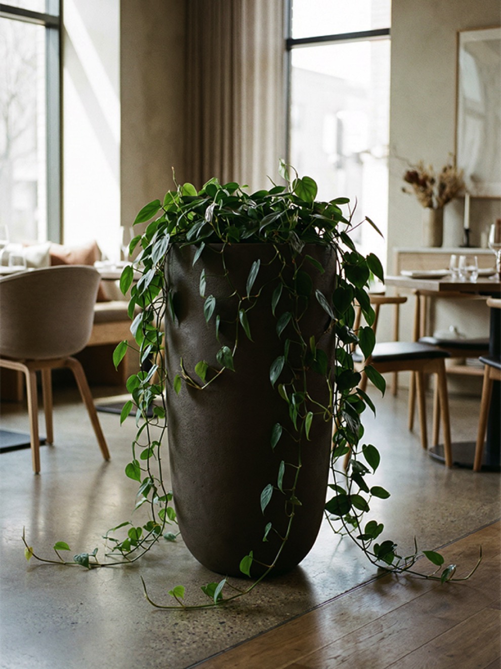 https://www.terrapalme.de/media/image/nk/Seren-Bay-Deep-Mocha-Polystone-Pflanzvase-Stimmungsbild.jpeg
