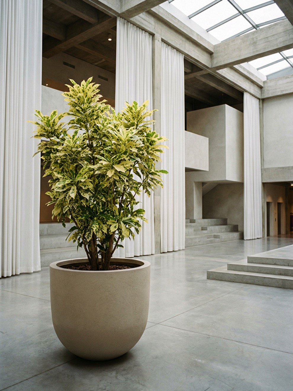 https://www.terrapalme.de/media/image/nk/Seren-Bond-Ashen-Polystone-Pflanztopf-Stimmungsbild-4.jpeg