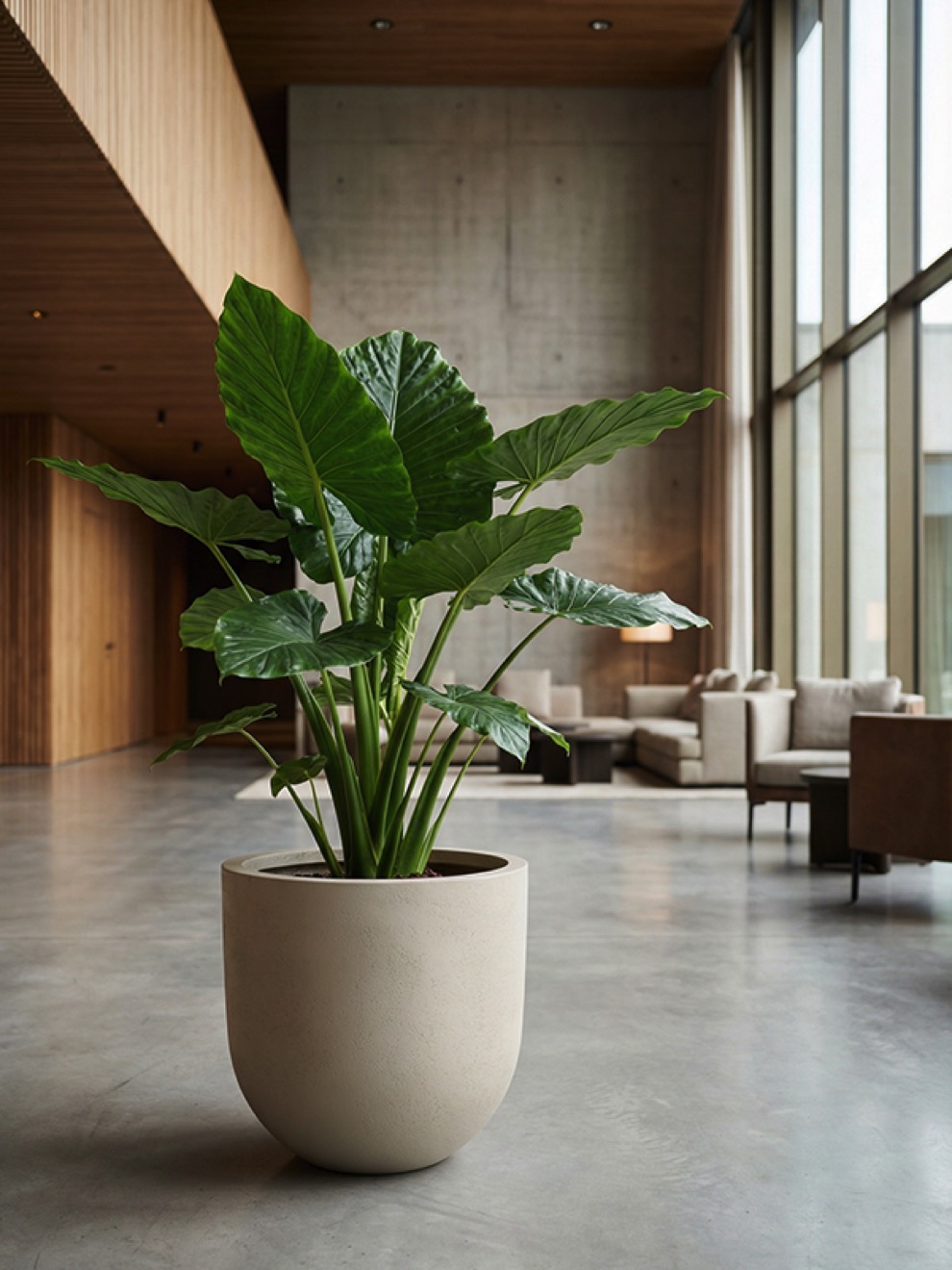 https://www.terrapalme.de/media/image/nk/Seren-Bond-Deep-Mocha-Polystone-Pflanztopf-Stimmungsbild-5.jpeg