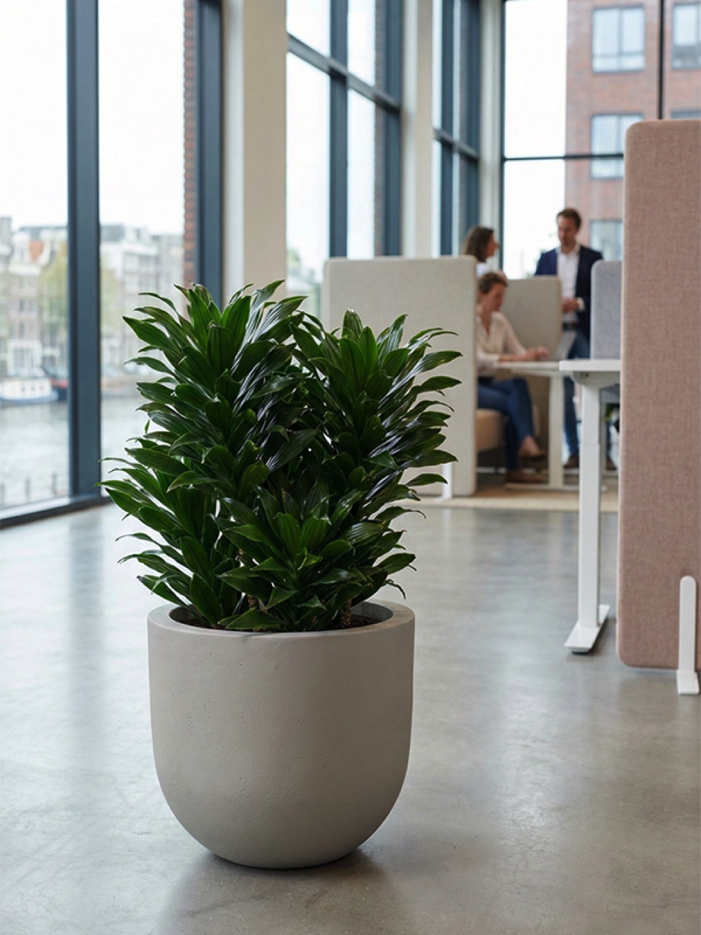 https://www.terrapalme.de/media/image/nk/Seren-Bond-Ashen-Polystone-Pflanztopf-Stimmungsbild.jpeg
