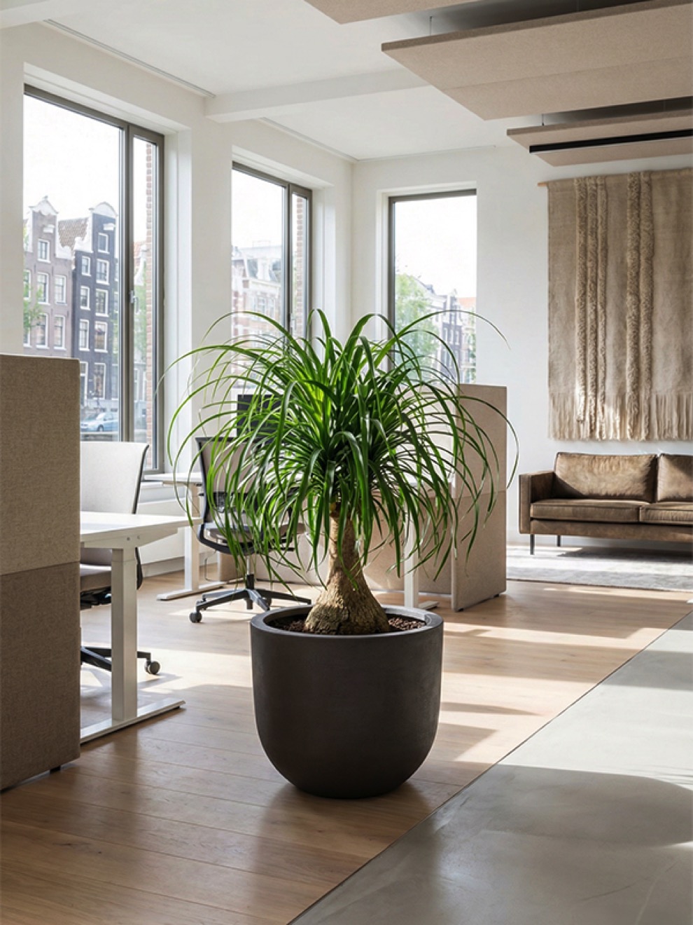 https://www.terrapalme.de/media/image/nk/Seren-Bond-Deep-Mocha-Polystone-Pflanztopf-Stimmungsbild-2.jpeg