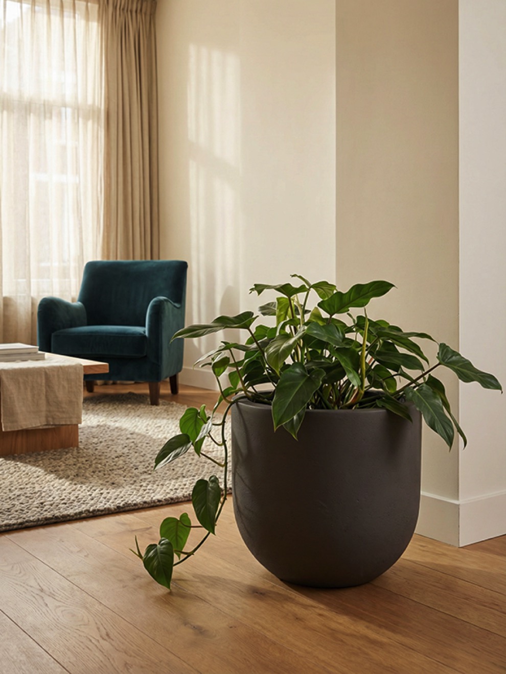 https://www.terrapalme.de/media/image/nk/Seren-Bond-Deep-Mocha-Polystone-Pflanztopf-Stimmungsbild-3.jpeg