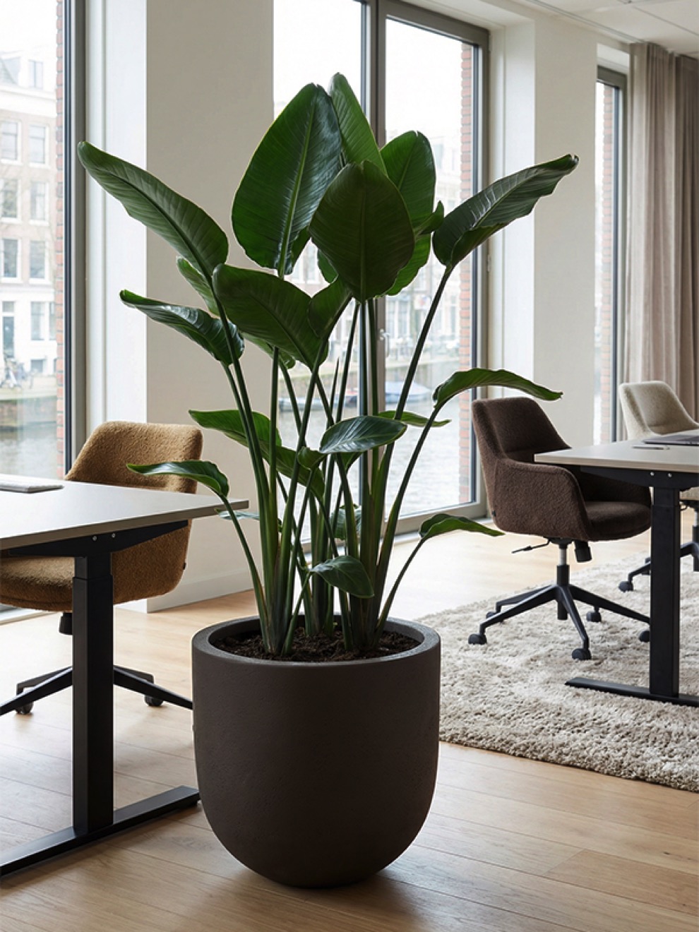 https://www.terrapalme.de/media/image/nk/Seren-Bond-Deep-Mocha-Polystone-Pflanztopf-Stimmungsbild-4.jpeg