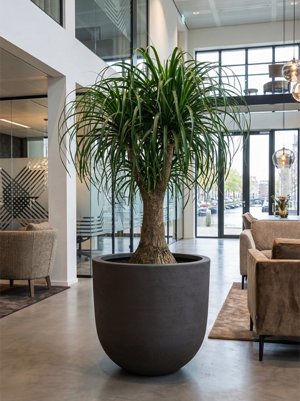 https://www.terrapalme.de/media/image/nk/Seren-Bond-Deep-Mocha-Polystone-Pflanztopf-Stimmungsbild-6.jpeg