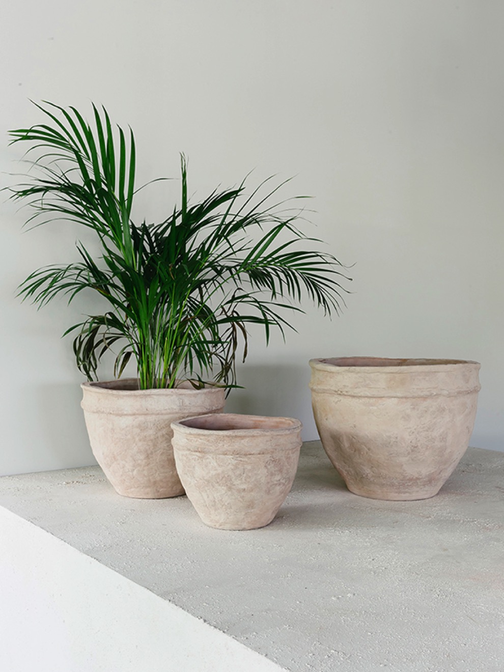 https://www.terrapalme.de/media/image/nk/Terra-Cotta-Reed-Terrakotta-Pflanztopf-Stimmungsbild.jpeg