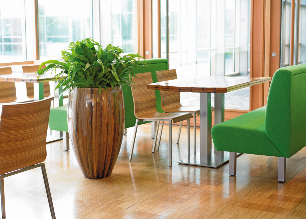 plantano-fiberglas-pflanzkubel-stimmungsbild
