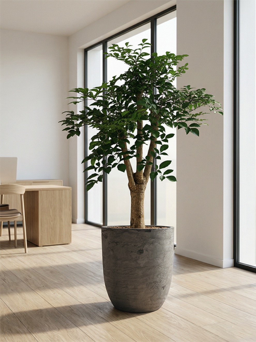 https://www.terrapalme.de/media/image/stimmungsbild/Algar-Partner-Grau-Stimmungsbild.jpeg