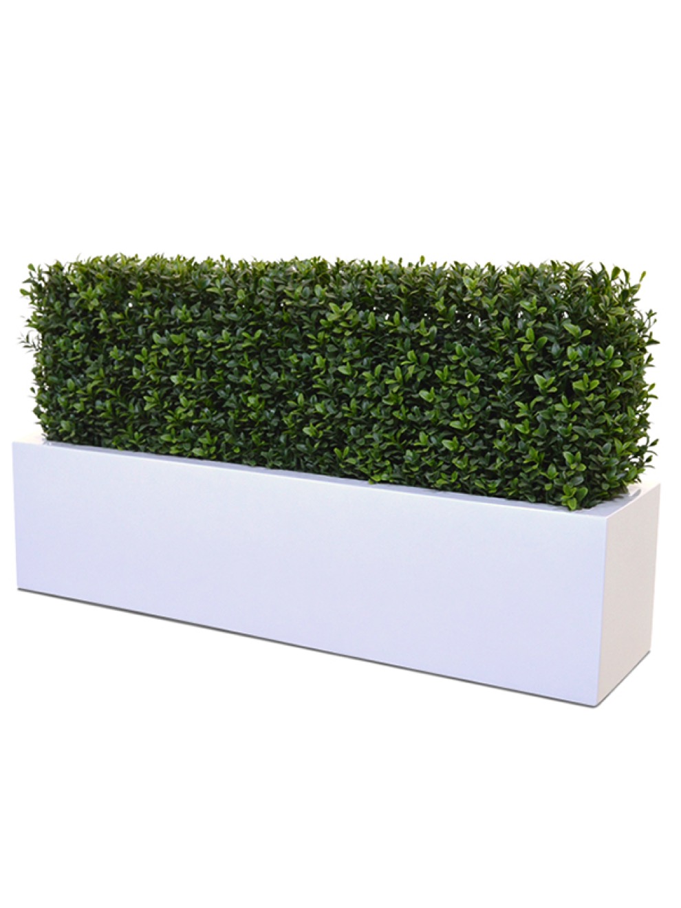 https://www.terrapalme.de/media/image/stimmungsbild/Buxus-Kunstpflanzen-Hecke-Stimmungsbild-1.jpeg