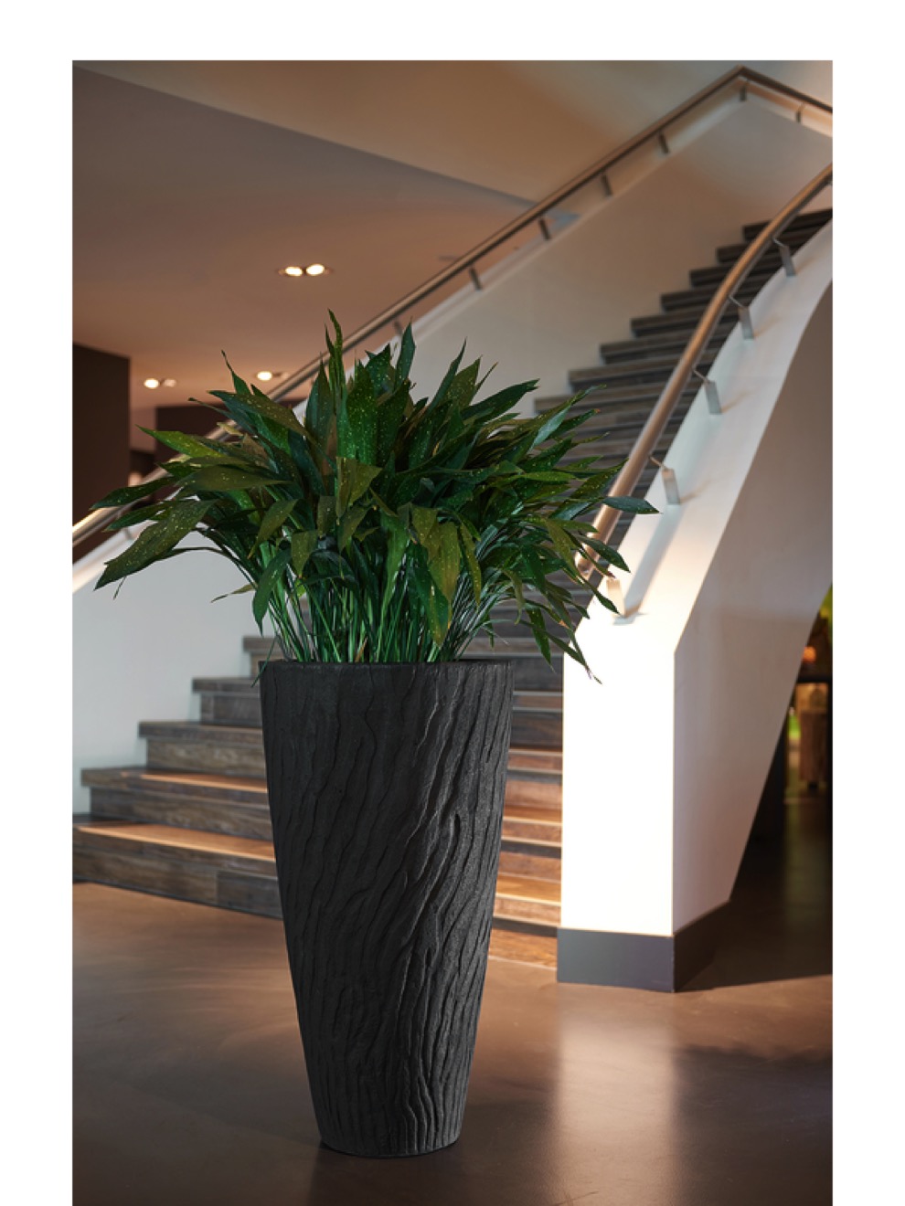 https://www.terrapalme.de/media/image/stimmungsbild/Pattern-Pflanzvase-EmberBlack-Stimmungsbild.jpeg