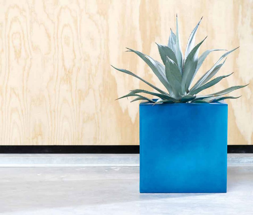 agave-nk-fiberglas-square-blue-stimmungsbild