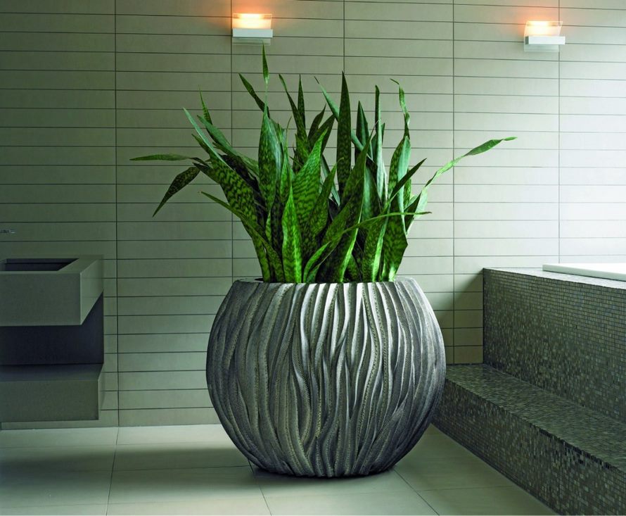 sansevieria/sansevieria-pvc-river-pflanzkugel-stimmungsbild